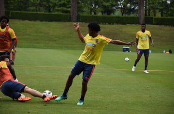 La Selección Colombia sigue su preparación en Milan pensando ya en Egipto, rival al que enfrentará este viernes en Bérgamo, Italia, en partido amistoso previo a Rusia. Con un grupo de 24 jugadores, los dirigidos por Pékerman hicieron trabajo con balón.