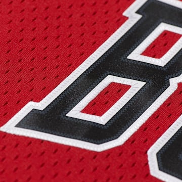 Detalle de la camiseta de los Bulls.