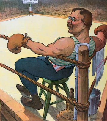 Curtido militar antes de meterse en política, Roosevelt aliviaba el estrés y la presión del cargo con los deportes de contacto. Hizo de sparring para campeones de boxeo, lucha libre y artes marciales. También  practicó el tenis y la equitación. 