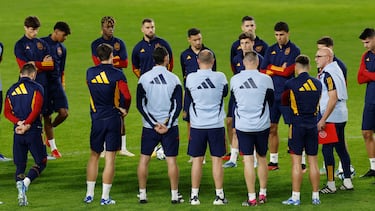 De la Fuente se dirige a los jugadores de la Selección española.