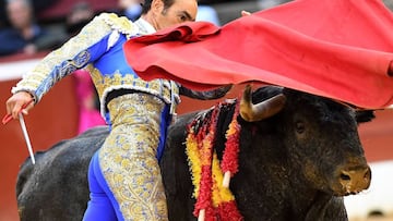 El Tribunal Constitucional anunciar&aacute; el regreso de las corridas de toros a Catalu&ntilde;a.