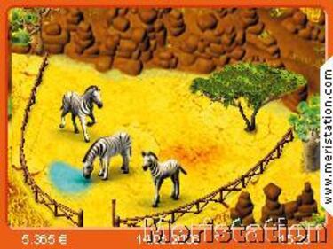 Conviértete en veterinario en My Animal Centre in Africa