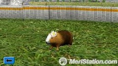 Imágenes de Mi hotel para mascotas