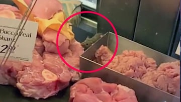 Descubren un rat¨®n comiendo carne en un expositor