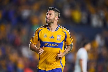 Una figura con pasado en la Ligue 1 y el Marsella, ya un viejo conocido en Liga MX y multiganador con Tigres y pese a que vive ya sus últimos años como futbolista nunca se ha cansado de ganar. Buscará añadir más títulos a sus vitrinas con el cuadro de Tigres. 