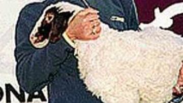 FELIZ GANADORA. Yamna Belkacem se divierte con su cordero.