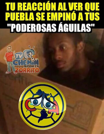 Los 41 memes que aplauden a Rafa Márquez y se burlan de Chivas y América