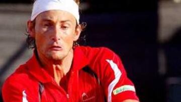 <b>VERDUGO.</b> Juan Carlos Ferrero cayó ante el rival que dejó fuera del torneo de Palermo a Fernando Verdasco.