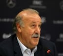 Del Bosque anunciará la lista para Finlandia y Francia el día 15