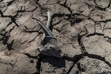 La gran sequía que sufre toda la península ha dejado al descubierto algunos tesoros. En el pantano de Sau, que ahora está al 30% de su capacidad, ha emergido el antiguo pueblo sepultado de Sant Romà que quedó inundado tras la construcción del pantano en 1963.