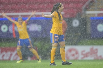 5 anotaciones- Tigres
