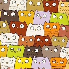 Reto visual: Encuentra al gato ente los búhos