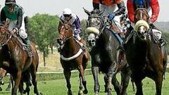 La Zarzuela cierra en previsión a un virus