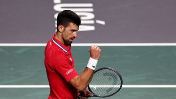 Resumen y resultado del Serbia - Gran Breta?a: Djokovic en la Copa Davis