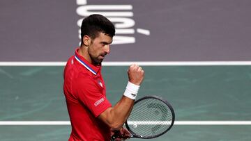 Resumen y resultado del Serbia - Gran Bretaña: Djokovic en la Copa Davis