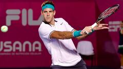 Del Potro bate a Gerasimov y pasa a semifinales en México