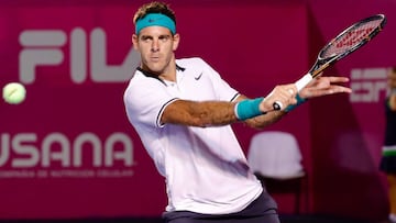 El tenista argentino Juan Mart&iacute;n del Potro en acci&oacute;n ante el bielorruso Yegor Guer&aacute;simov en el partido de cuartos de final del Abierto de Tenis de Los Cabos, en Baja California Sur (M&eacute;xico).