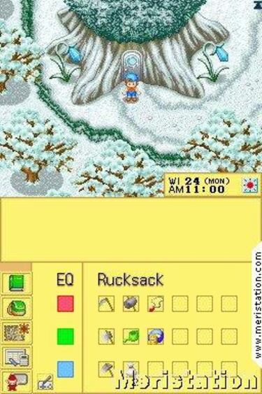 Harvest Moon DS. Impresiones