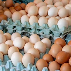 Ni temperatura ambiente, ni alacena: Profeco revela cómo se deben conservar los huevos