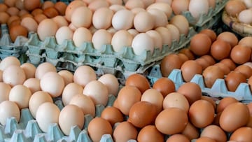 Ni temperatura ambiente, ni alacena: Profeco revela cómo se deben conservar los huevos