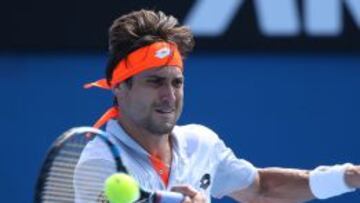 David Ferrer se impuso a Steve Johnson.