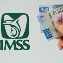 Pensión IMSS: qué es la modalidad 40, cómo funciona y cómo pagar en línea