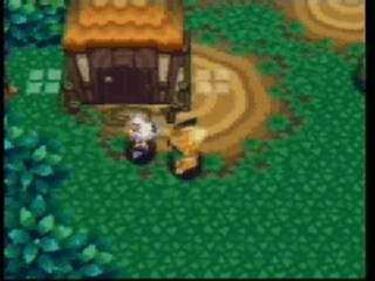 Animal Forest (Nintendo 64)