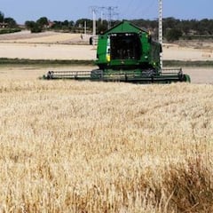 Estados Unidos dispara el precio del cereal en la Lonja de Salamanca