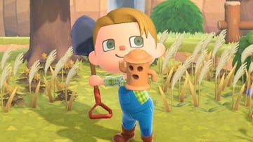 Cómo conseguir y cultivar giroides en Animal Crossing New Horizons