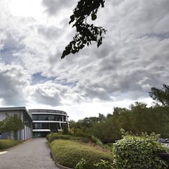 Brexit y F1: ¿Mercedes se irá a Alemania y Renault a Francia?