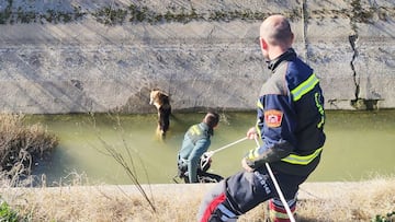 guardia civil