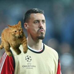 Cat pitch invader voted Bayern man of the match