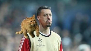 Cat pitch invader voted Bayern man of the match