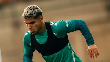 Real Betis se ilusiona con la recuperación del Cucho Hernández