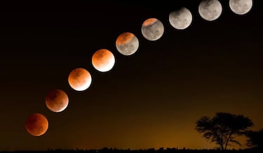 Luna cuarto menguante de febrero 2026: cuándo, a qué hora y cómo ver desde México 