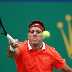 Del Potro, afuera del top-100