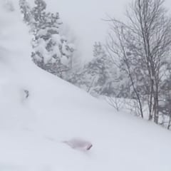 Así se sumerge Aymar Navarro en la nieve: "¡Submarinista!"