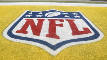 FILE PHOTO: Dec 7, 2023; Pittsburgh, Pennsylvania, USA; The NFL logo is painted in the end-zone as the Pittsburgh Steelers host the New England Patriots at Acrisure Stadium. Mandatory Credit: Charles LeClaire-USA TODAY Sports/File Photo