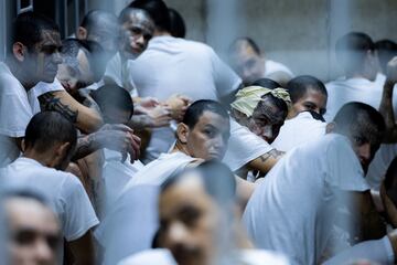 La administracin Trump deport el pasado 31 de marzo a El Salvador a 17 personas acusadas de pertenecer a las organizaciones criminales Tren de Aragua y MS-13. La deportacin se produce en el marco de un acuerdo entre Washington y El Salvador para trasladar all a los inmigrantes que segn la administracin americana pertenecen a grupos delictivos pese a que dos fallos judiciales prohibieran las deportaciones exprs basadas en la Ley de Enemigos Extranjeros.
