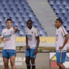 James-Macnelly, la pareja que probó Pékerman en la práctica