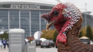 Nov 26, 2015; Arlington, TX, USA; Tailgate Tom the turkey sits outside the stadium before the game between the Dallas Cowboys and the Carolina Panthers on Thanksgiving at AT&T Stadium. Mandatory Credit: Tim Heitman-USA TODAY Sports