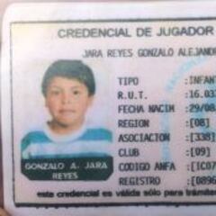 La solidaridad que transformó a Jara en ídolo de Hualpén