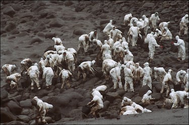 Decenas de voluntarios limpian las playas de la costa gallega. 