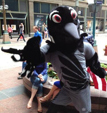 Minnesota United FC: a disfrutar de su primer año en la MLS