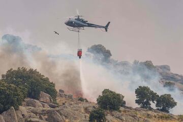 Dos incendios desatados en la provincia de Ávila han provocado la evacuación de los municipios de Riofrío, Sotalbo, Villaviciosa, Palacios y Robledillo, además de quemar 10.000 hectáreas. La situación ha obligado la intervención de la Unidad Militar de Emergencias. 