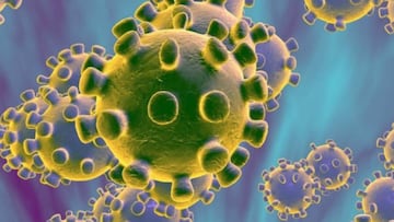 La variante del virus que sacude a Europa surgi¨® en Espa?a