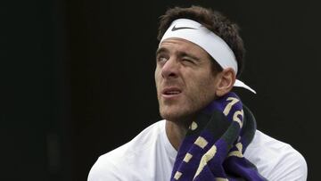 Del Potro, único superviviente argentino en Wimbledon