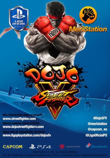 Estos son los grupos del DOJO de Street Fighter V