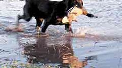 Se abre la temporada en 'Caza y Pesca' televisión