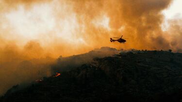 El incendio comenzó el 14 de agosto de 2021. Las investigaciones iniciales apuntaron a un cortocircuito en un coche que sufrió un accidente en el puerto de El Pico, en la N-502. Este incidente se considera la causa de las primeras llamas. El fuego arrasó más de 22.000 hectáreas de terreno, convirtiéndose en el incendio más grande registrado en la provincia de Ávila.